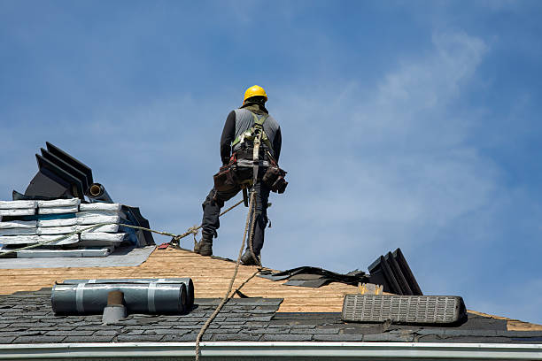 Professional Flat Roof Repair technician working in Fairview, MT